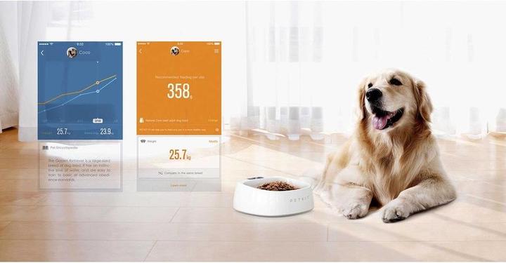 Actual product image Petkit P2 (Cat, Dog, Walks)