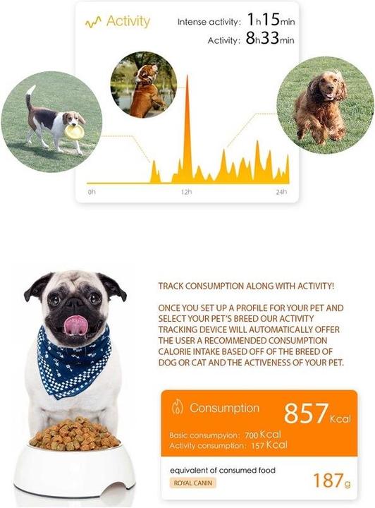 Actual product image Petkit P2 (Cat, Dog, Walks)