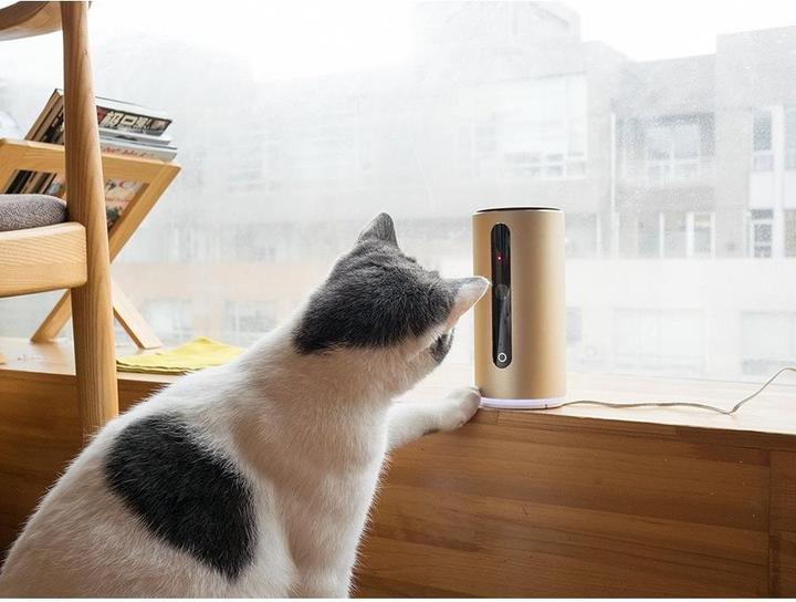 Actual product image Petkit Mate