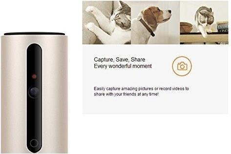 Actual product image Petkit Mate
