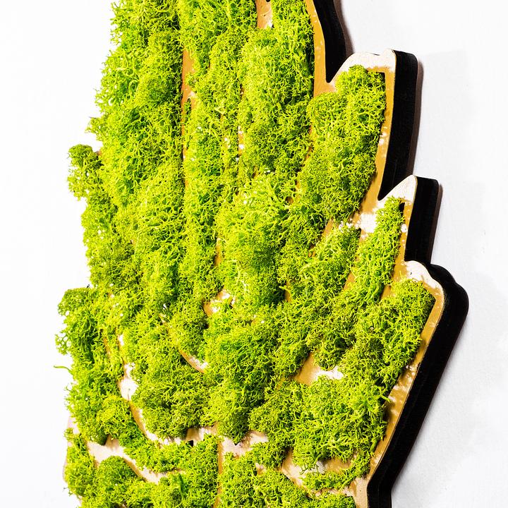 Produktbild Wallxpert Danny (44 x 42 cm)