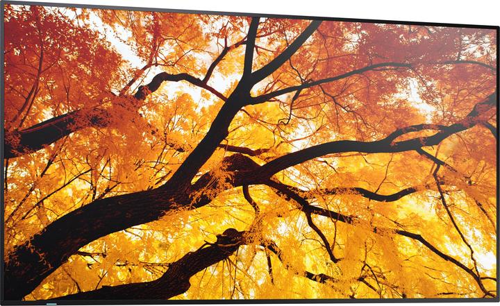 Image du produit NEC Sharp Large Format Display M552 (3840 x 2160 pixels, 55")