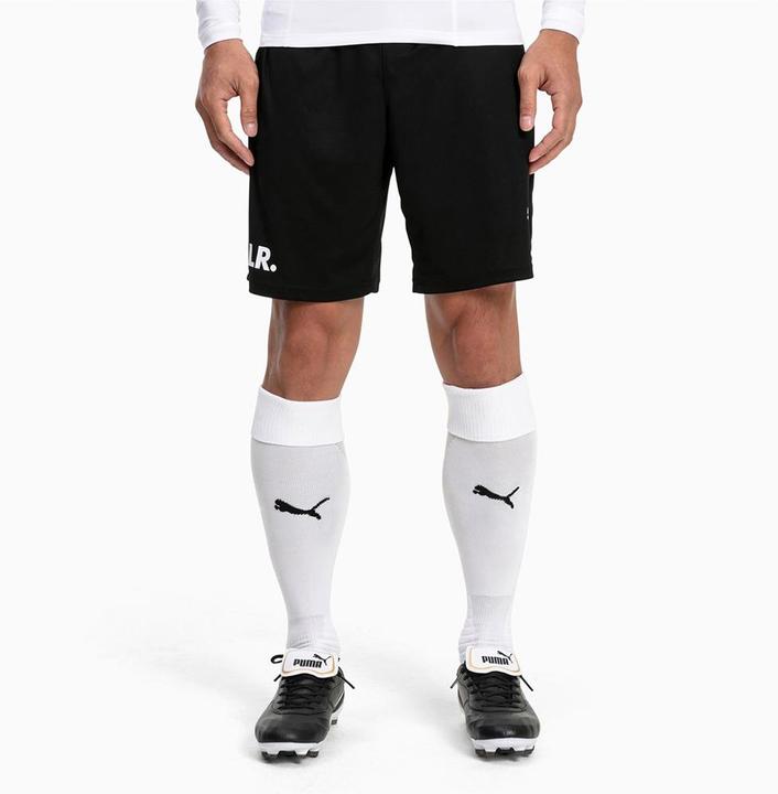 Actual product image Puma Team LIGA Socks-703438 (47 - 49)