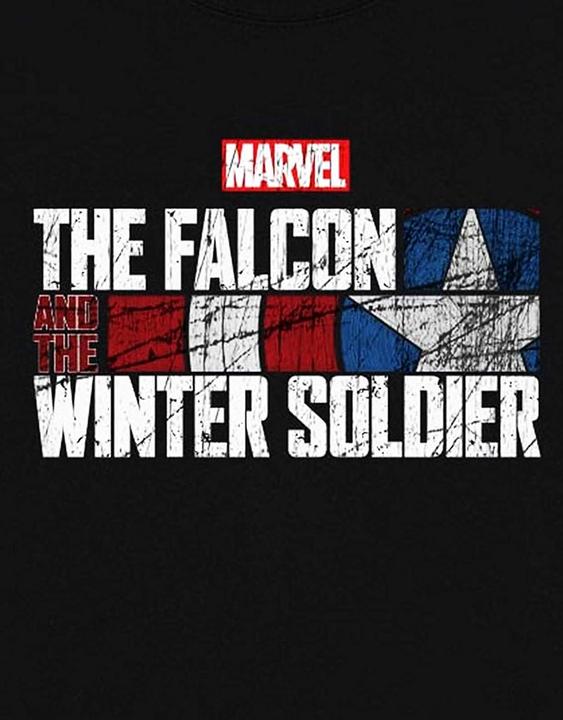 Produktbild Unisex Adult Falcon & Winter Soldier Text Cotton Logo T-Shirt (L)