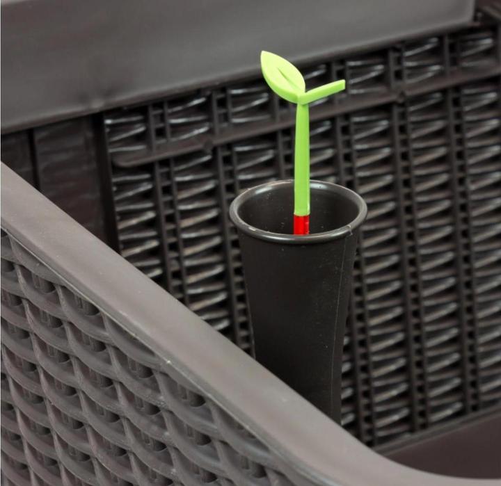 Actual product image Keter Easy Growing