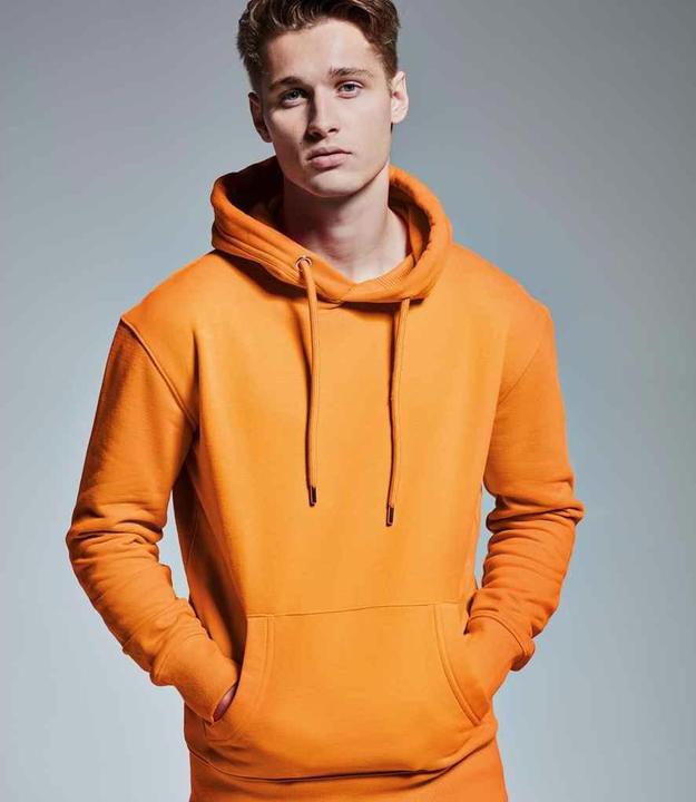Produktbild Anthem Kapuzenpullover aus biologischem Anbau (XL)