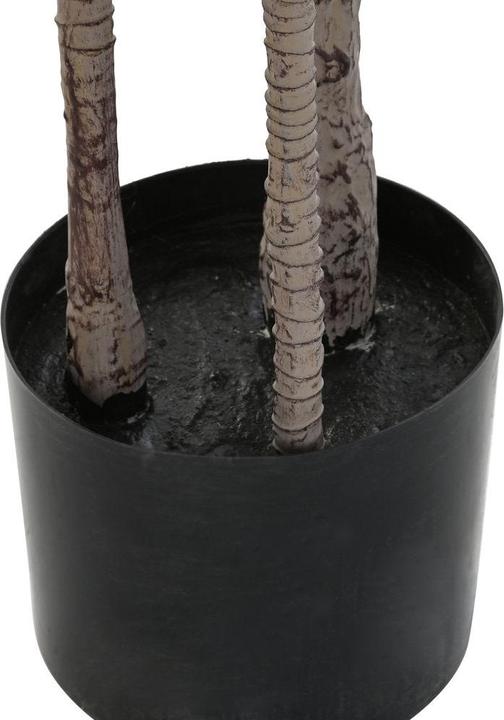 Actual product image DKD Home Decor Decorative Plant (80 x 80 x 180 cm) (180 cm)