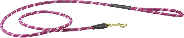 Collar + Leashes