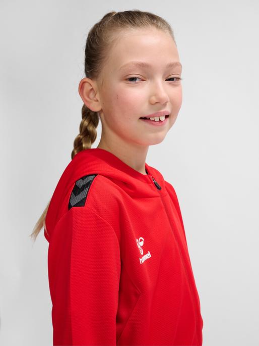 Immagine prodotto hummel Hmlauthentic Pl Zip Hoodie Kids (140)