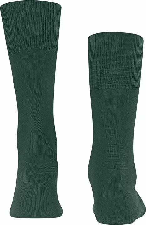 Actual product image Falke Airport SO (Single pack, 41 - 42)