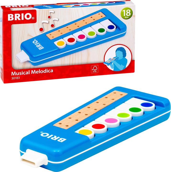 Actual product image Brio Children Melodica (English)