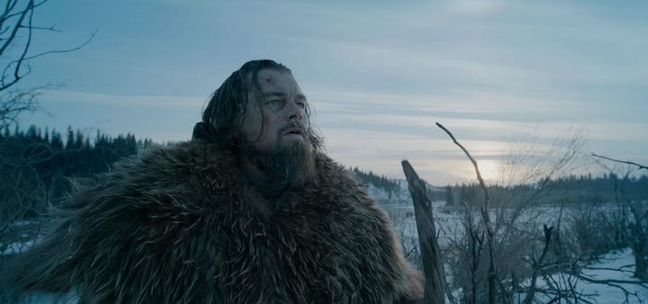 Image du produit Le Revenant Le Revenant (Blu-ray, 2015, Allemand, Français, Anglais)