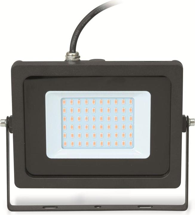 Productafbeelding Eurolite LED-buitenschijnwerper IP FL 30 SMD (IP65)
