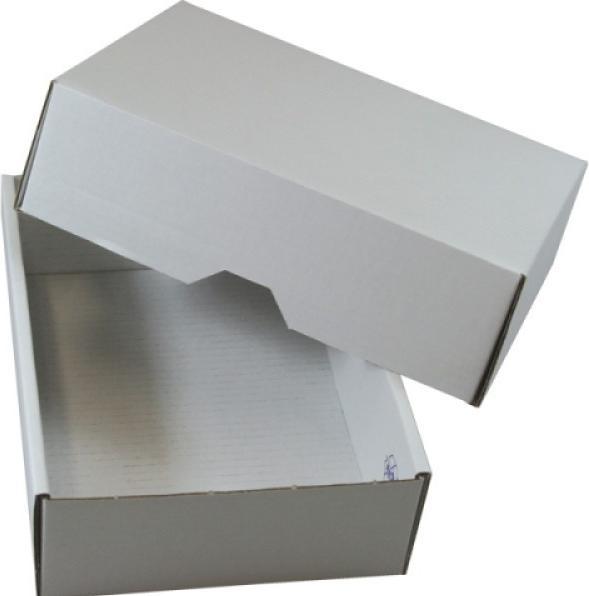 Brieger Box corrugated cardboard white
