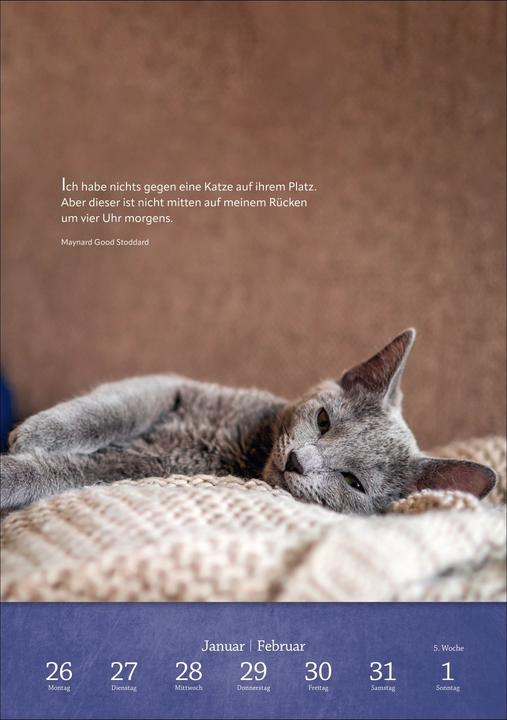 Actual product image Harenberg Literaturkalender Katzen Wochen-Kulturkalender 2026 (German)