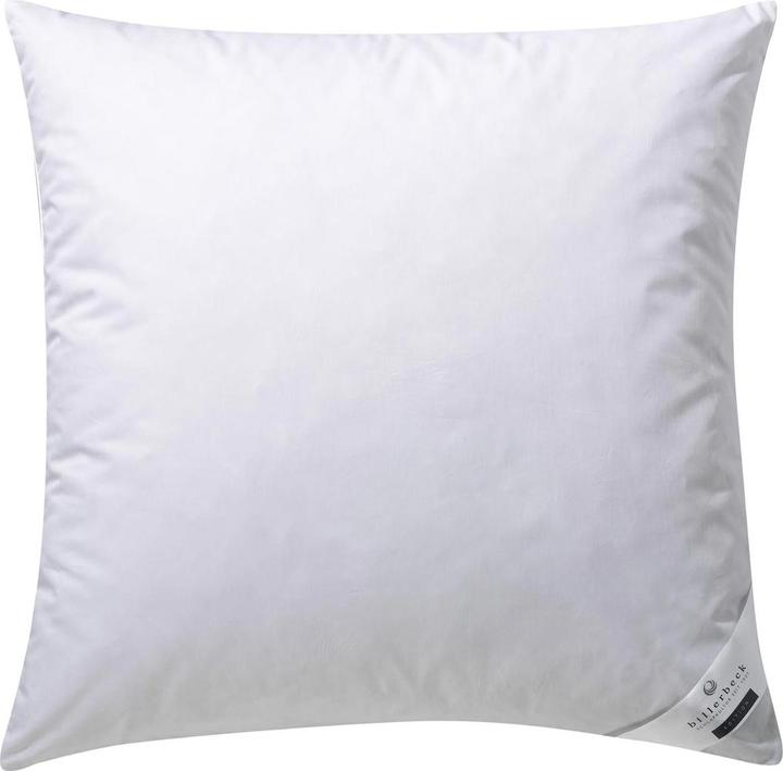 Actual product image Billerbeck Clivia 15 (80 x 80 cm)