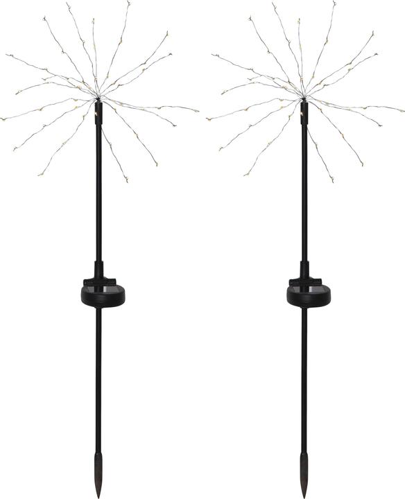 Image du produit Star Trading Décoration solaire Firework (IP44)