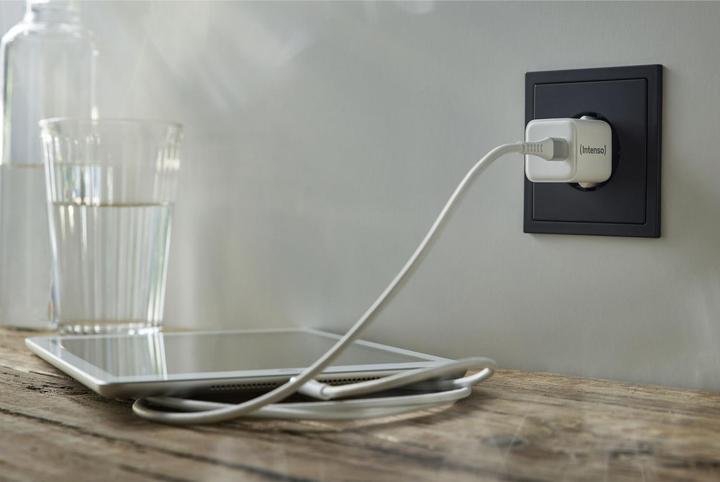 Image du produit Intenso 1x adaptateur USB-C GAN blanc (30 W)
