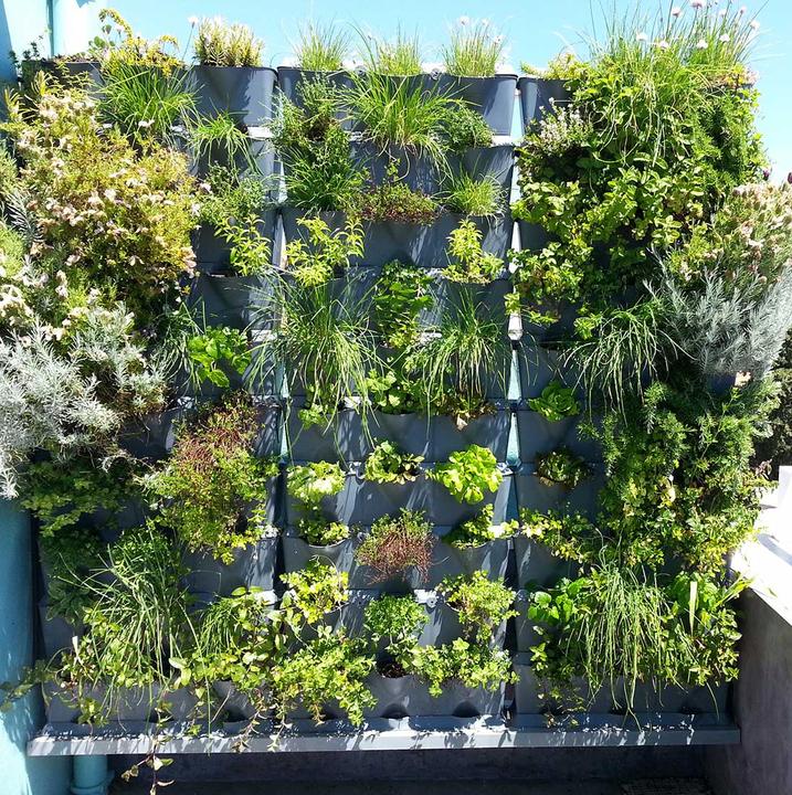 Image du produit Minigarden Jardinière verticale