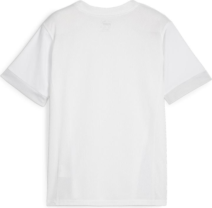 Image du produit Puma teamGOAL Matchday Jersey jr (128)