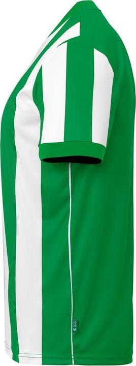 Actual product image Uhlsport Retro Stripe (M)