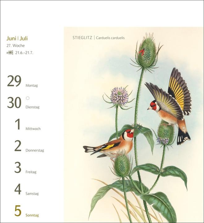 Actual product image Harenberg Vögel Postkartenkalender 2026 - Postkartenkalender mit 53 historischen Zeichnungen (Hardcover, German)