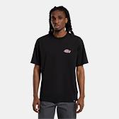 Actual product image Dickies Graysville Tee SS (XL)