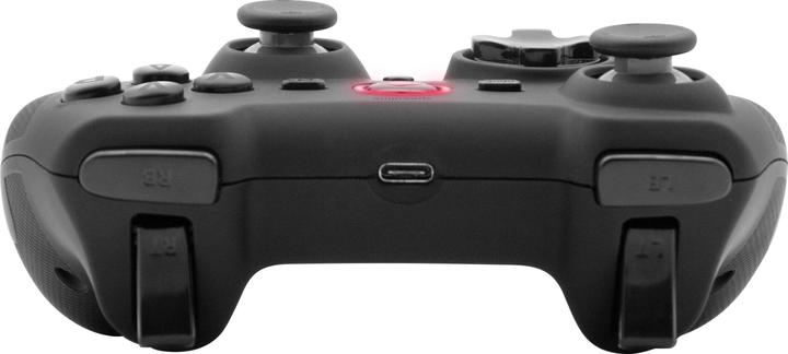 Immagine prodotto Speedlink Rait (Switch, PS3, PC)