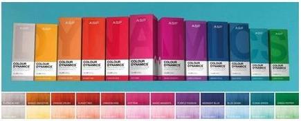 Image du produit Affinage Salon Professional Colour Dynamics 150ml Gris foncé (150 ml)