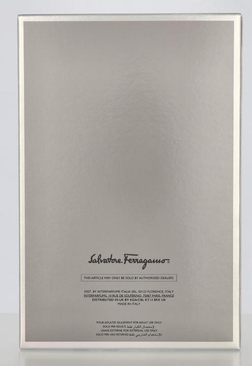 Actual product image Salvatore Ferragamo Uomo Casual Life (Eau de toilette, 100 ml)