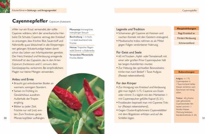 Produktbild Handbuch Kräuter (Deutsch, Lesley Bremness, 2018)