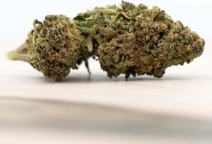 Produktbild Herba di Berna Cannatonic Indoor (11 g, Indoor)