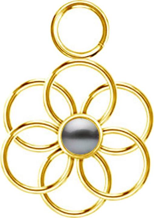 Produktbild Star Piercing Anhänger vergoldet Perle schwarz Blume des Lebens (ohne Messing, Chirurgenstahl 316L)