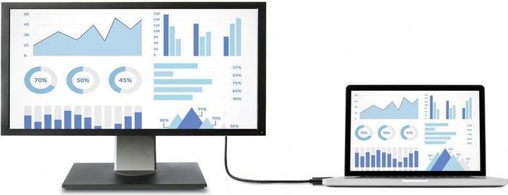 Actual product image Renkforce DisplayPort — DisplayPort (2 m, DisplayPort)