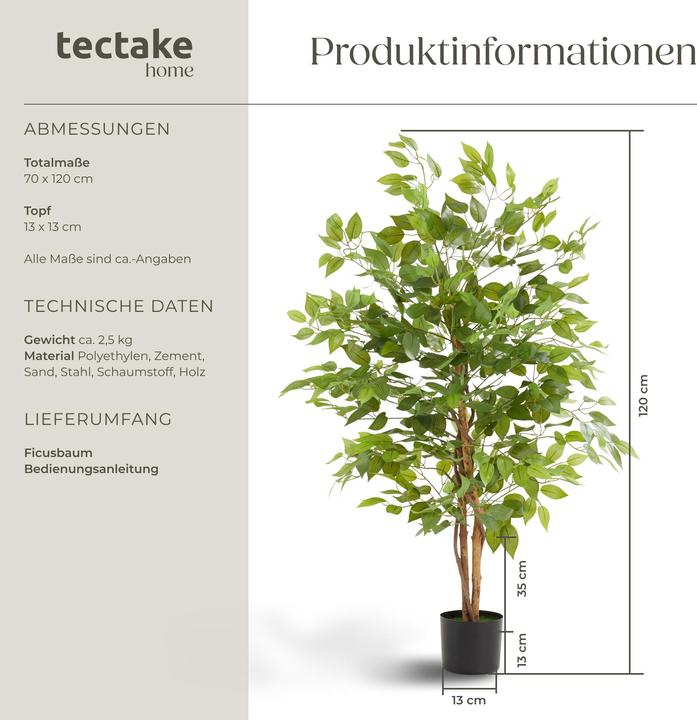 Produktbild tectake Ficusbaum Fida (120 cm)
