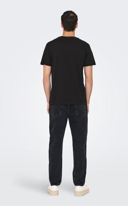 Actual product image Only & Sons ONSOASIS T-shirt T-shirt (XL)
