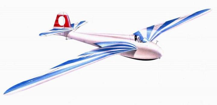 Image du produit Planet Models Planeur DFS Habicht