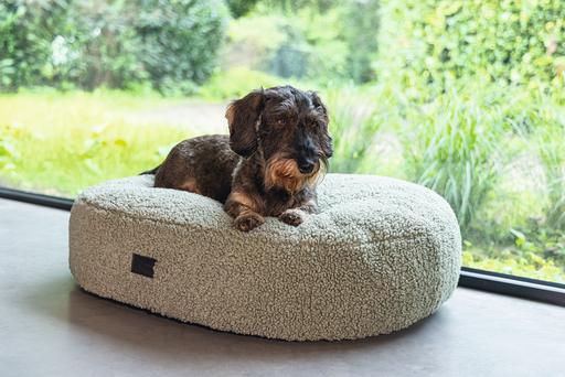 Actual product image Designed by Lotte Ribbed (Dog)