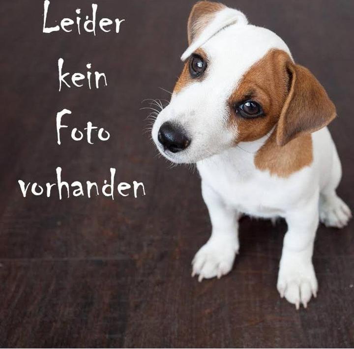 Image du produit Bosch Petfood Mini Senior (Senior, 1 pcs, 2500 g)