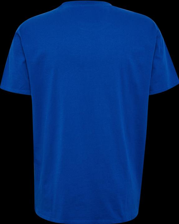 Actual product image hummel HMLGO 2.0 LOGO T-SHIRT S/S (S)