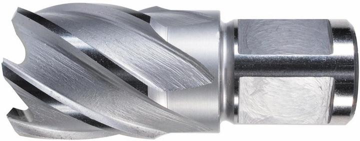 Immagine prodotto Fortis Carotatrice HSS 49/30mm Alfra (2,5 centimetri)
