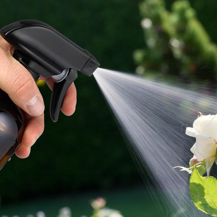 Actual product image Relaxdays 4x Sprühflasche (0.25 l)