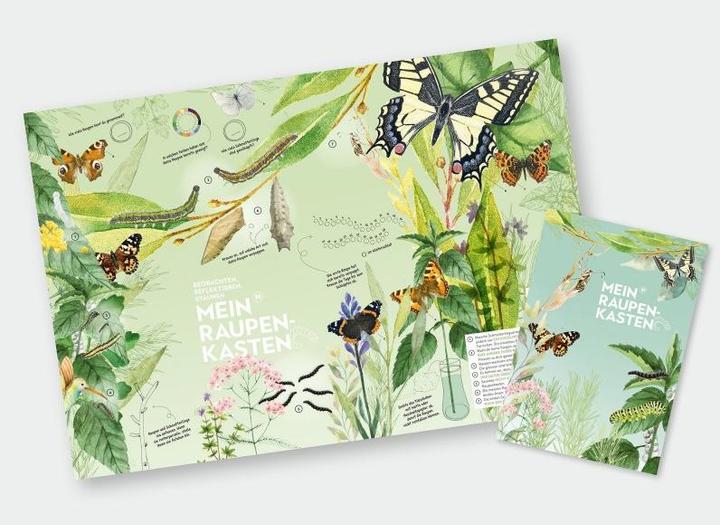 Produktbild Mein Raupenkasten Raupenkasten (Schmetterlinge)