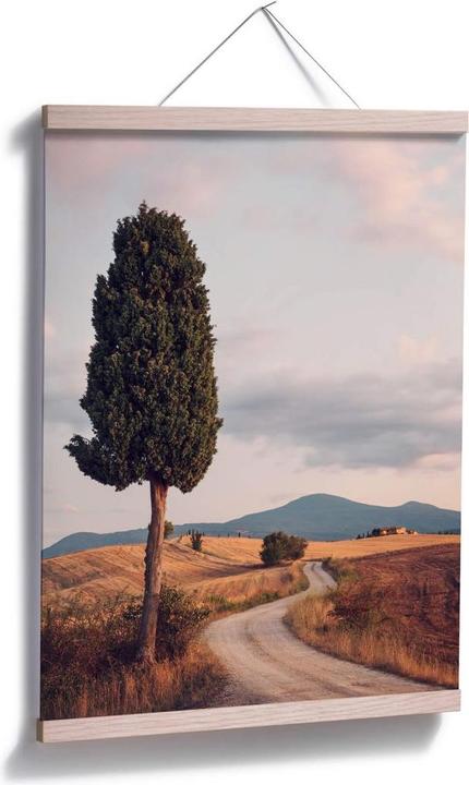 Produktbild Trenddeko Zypressenweg (50 x 60 cm)
