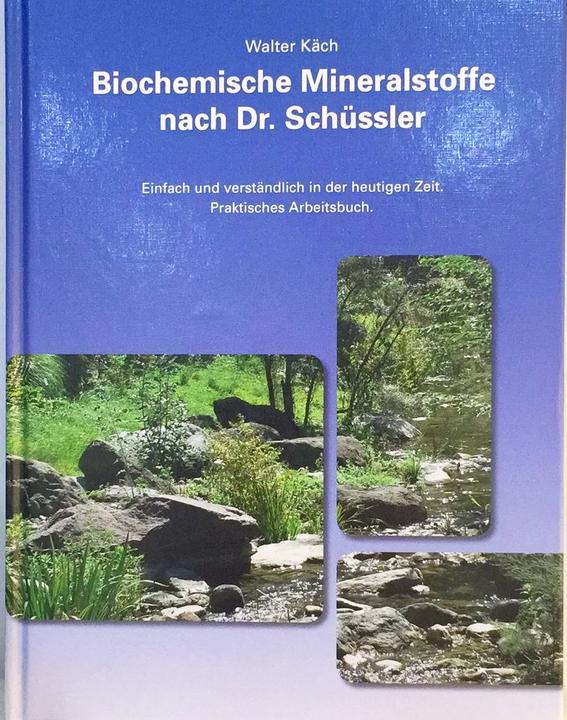Produktbild Biochemische Mineralstoffe nach Dr. Schüssler (Deutsch, Walter Käch, 2010)