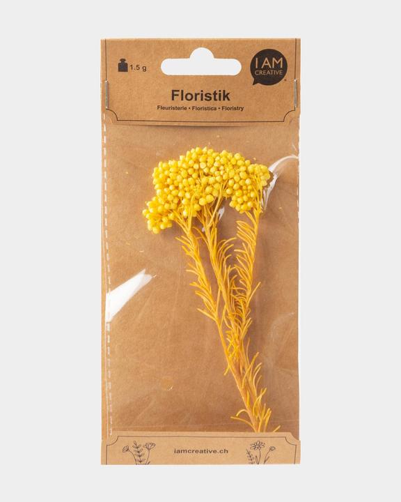 I Am Creative Trockenblumen Strohblume (Trockenblumen)