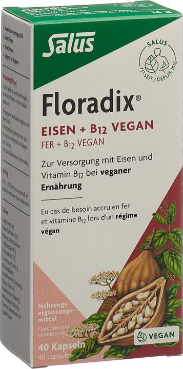 Floradix Eisen und B 12 Vegan (40 Stück, Kapseln, 37 g)