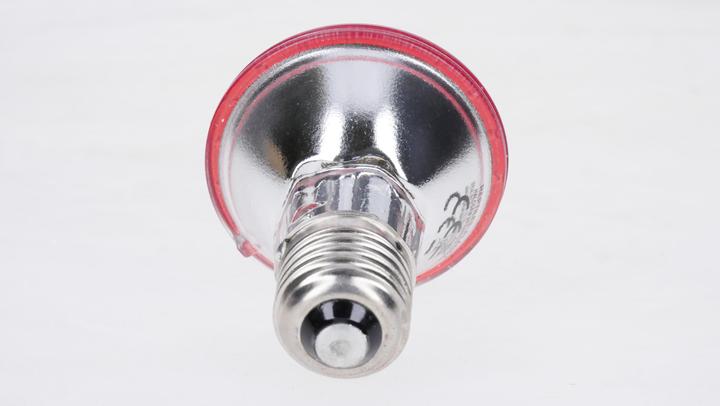 Actual product image Reptiles-Planet infrared terrarium lamp plus halogen