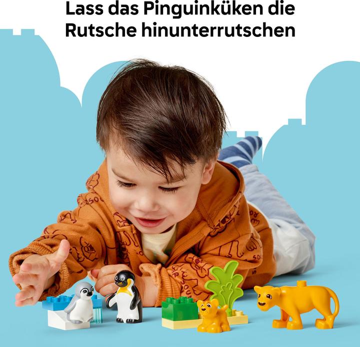 Produktbild LEGO Wildtier-Familien: Pinguine und Löwen (10442)