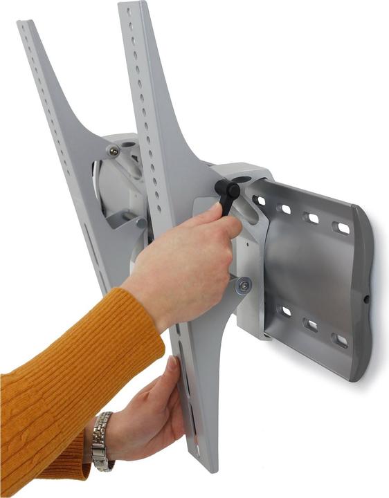 Immagine prodotto Ergotron Supporto Da Parete Inclinabile Lfd (Muro, 65", 40 kg)